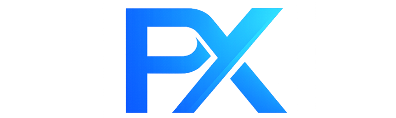 Paxxmo Logo